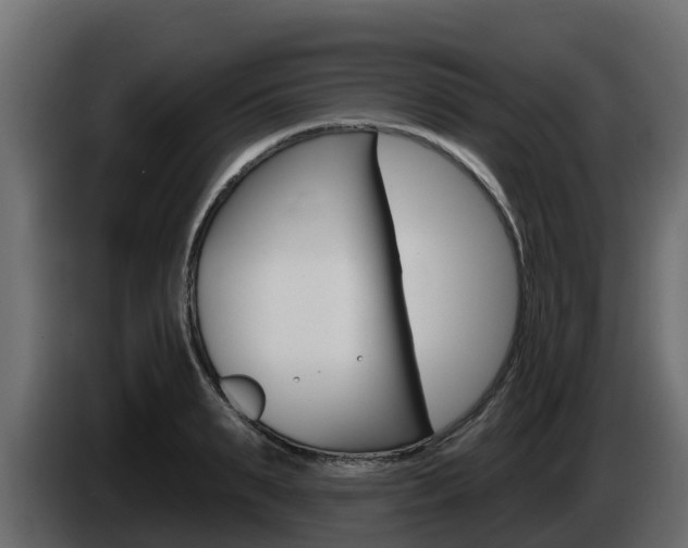 X0000086020895200703230930