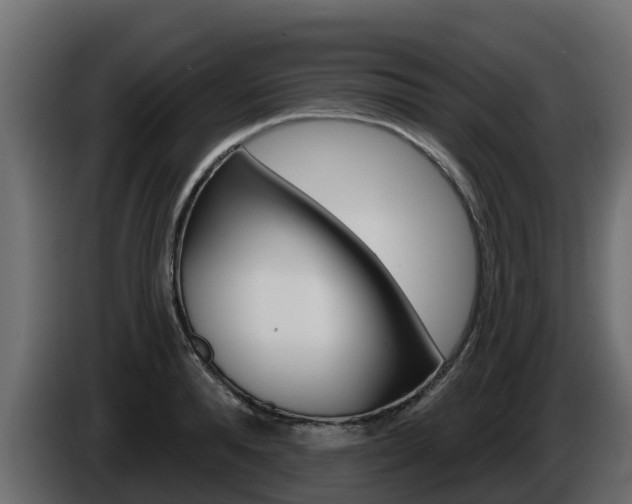 X0000086020896200703230930