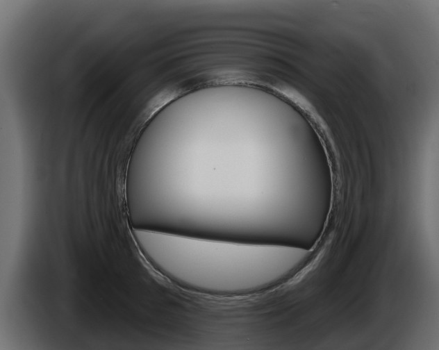 X0000086020897200703230930