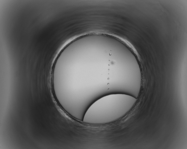 X0000086020903200703230930