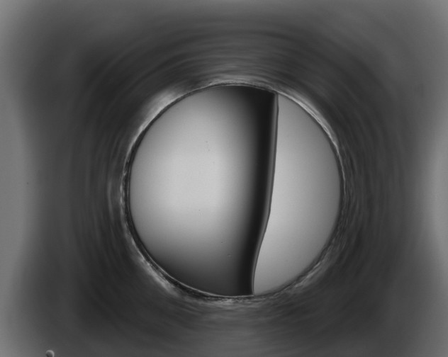 X0000086020906200703230930