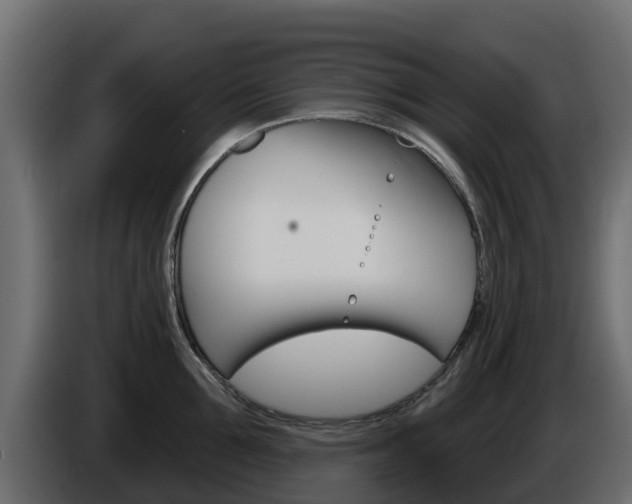 X0000086020907200703230930