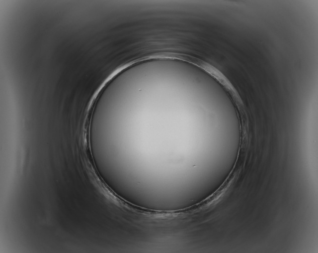 X0000086020908200703230930