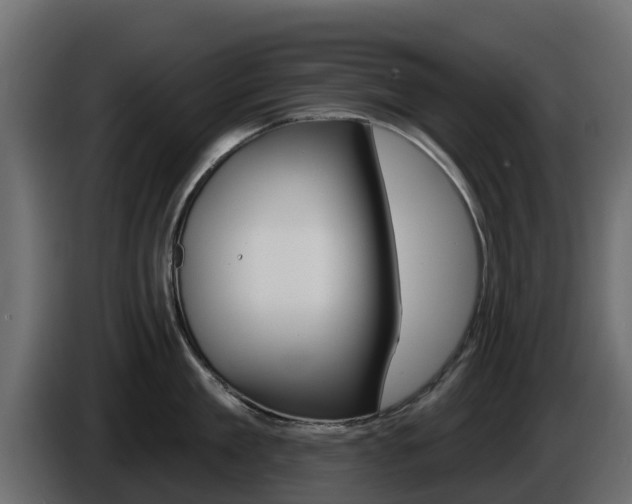 X0000086020909200703230930