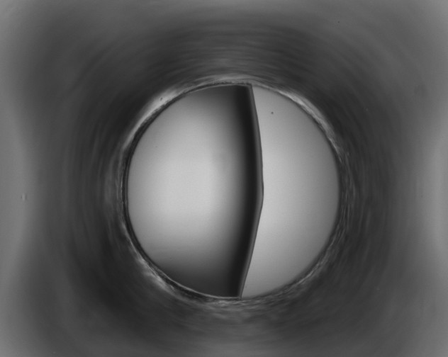 X0000086020910200703230930
