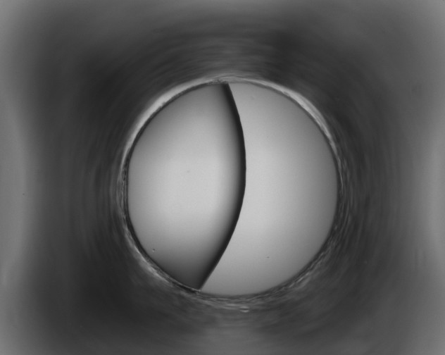 X0000086020911200703230930