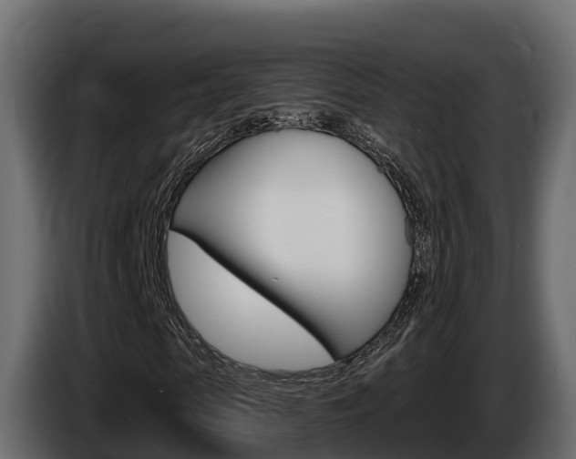 X0000086020913200703230929