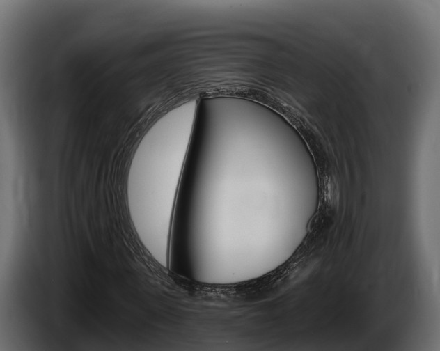 X0000086020915200703230929