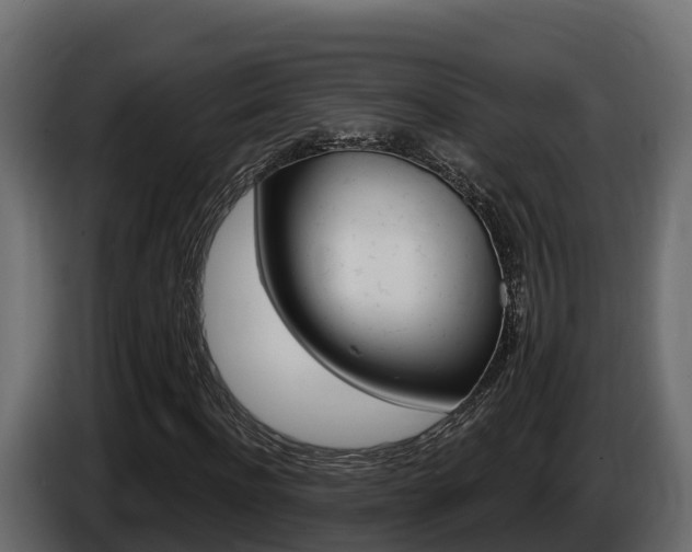 X0000086020916200703230929
