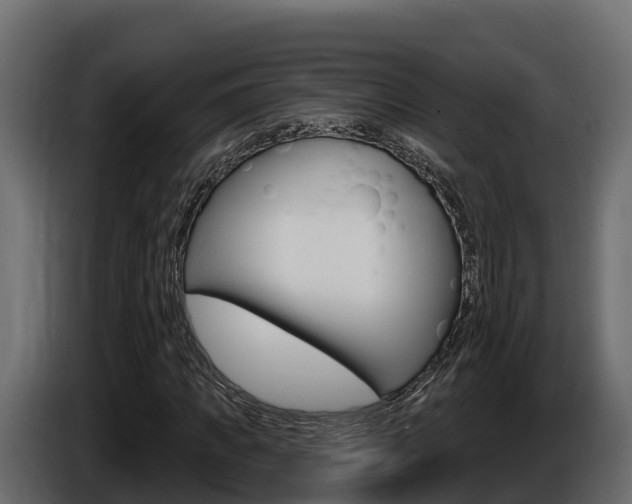 X0000086020917200703230929