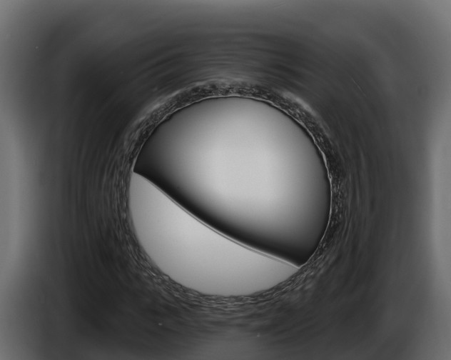 X0000086020919200703230929