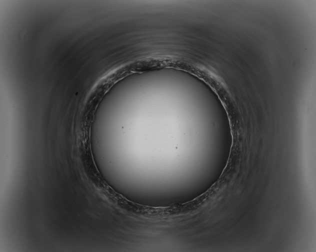 X0000086020920200703230929