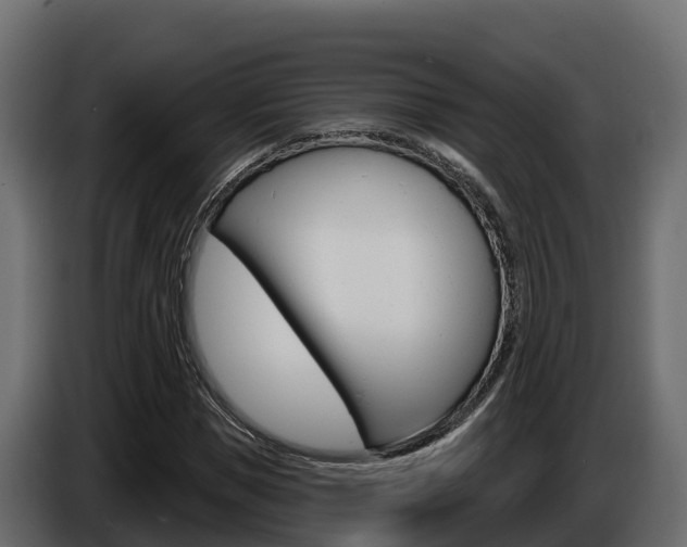 X0000086020921200703230929
