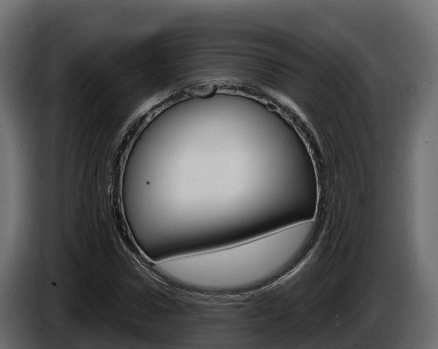 X0000086020922200703230929