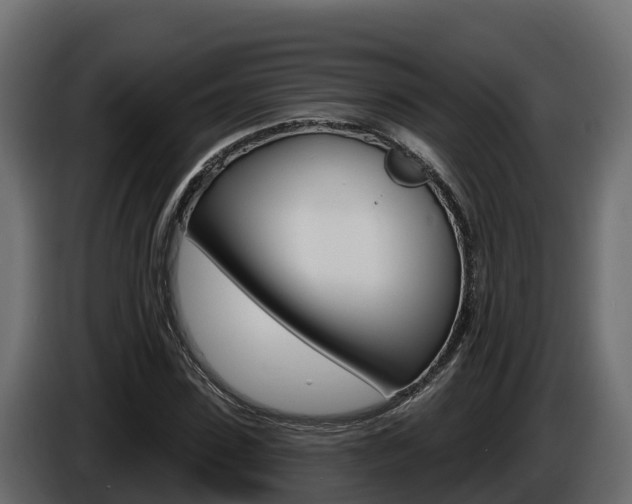 X0000086020923200703230929