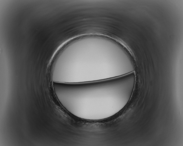 X0000086020926200703230929
