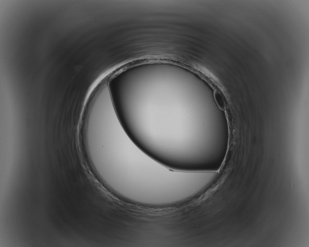 X0000086020928200703230929