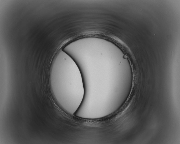X0000086020929200703230929