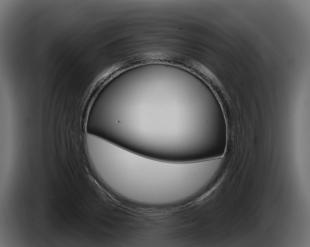 X0000086020930200703230929