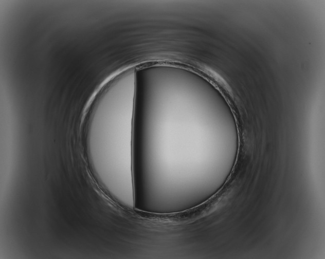 X0000086020931200703230929