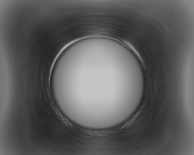 X0000086020932200703230929