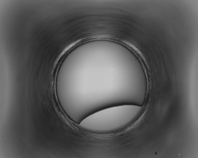 X0000086020933200703230929