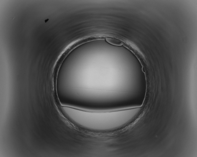 X0000086020934200703230929