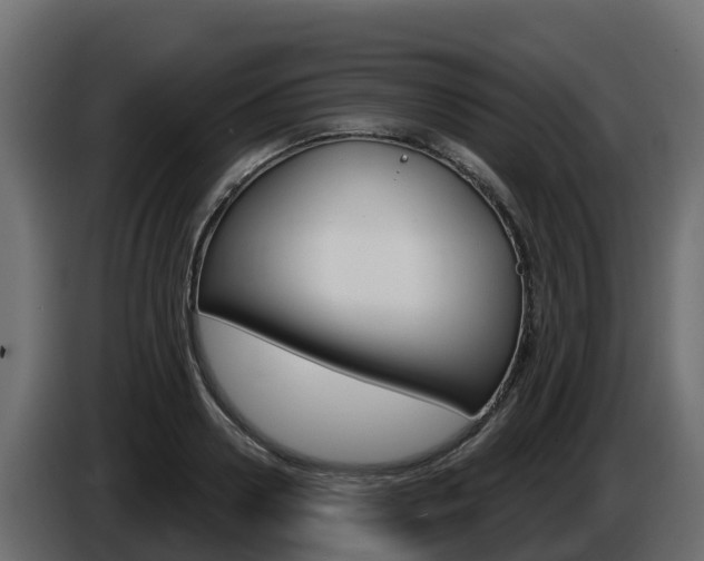 X0000086020938200703230929