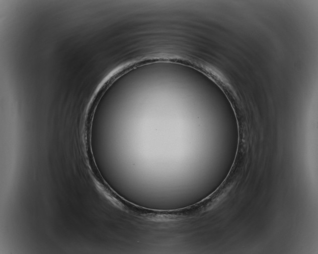 X0000086020942200703230929