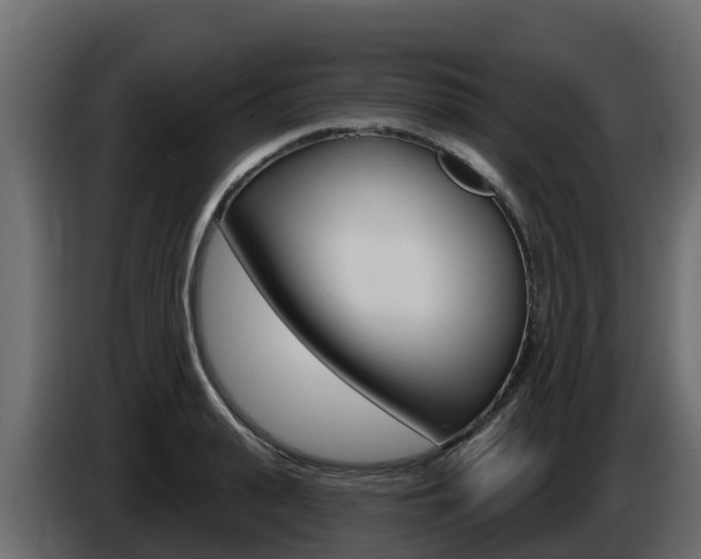 X0000086020943200703230929