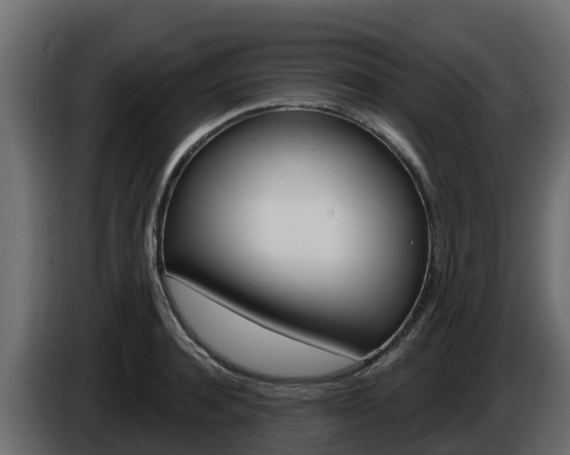 X0000086020944200703230929