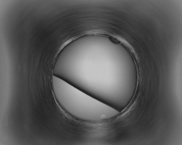 X0000086020945200703230930