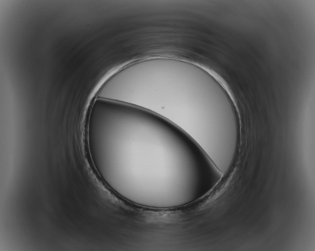 X0000086020949200703230930