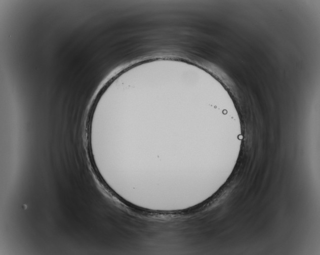 X0000086020950200703230930