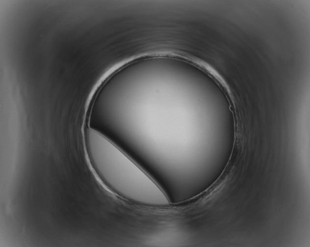 X0000086020951200703230930