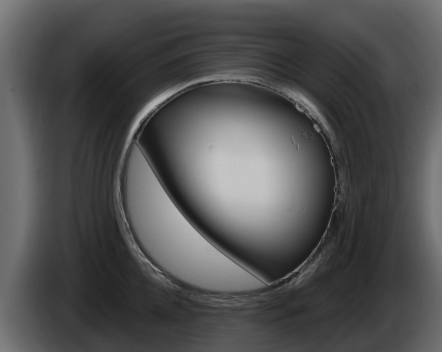 X0000086020952200703230930