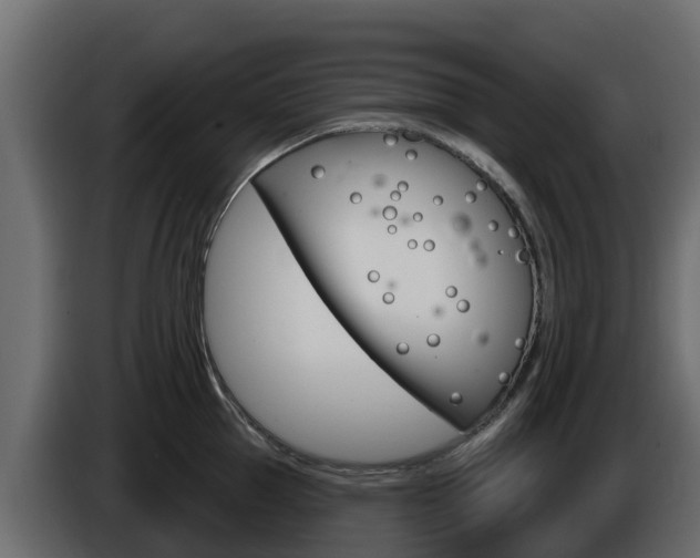 X0000086020953200703230930