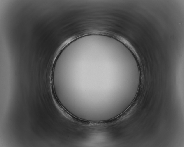 X0000086020954200703230930
