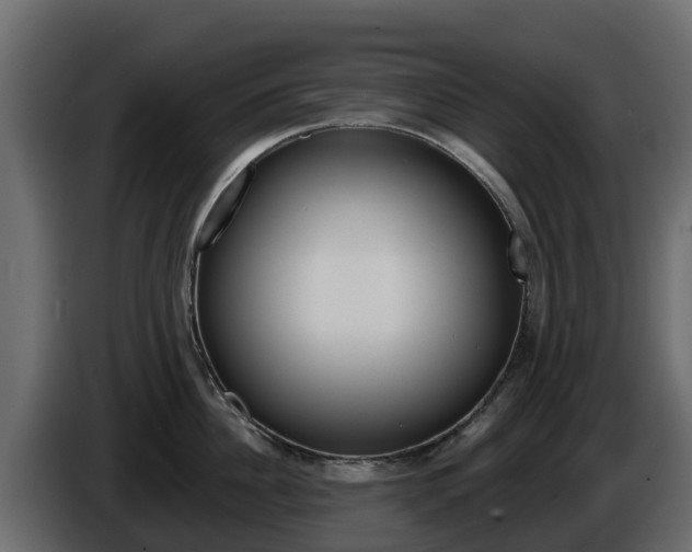 X0000086020956200703230930