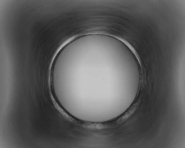X0000086020957200703230930