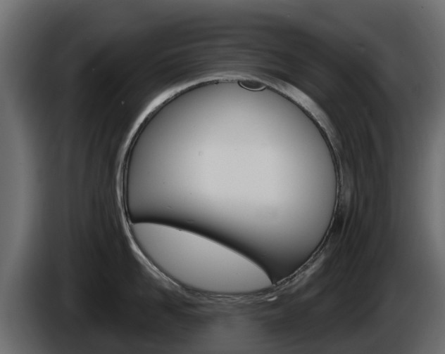 X0000086020958200703230930
