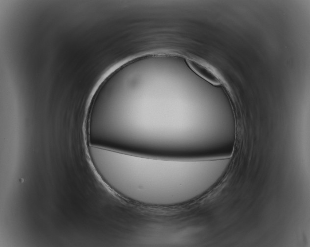 X0000086020959200703230930