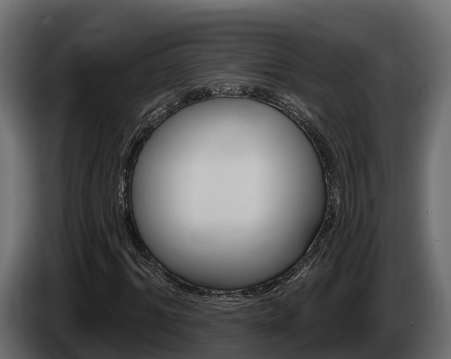 X0000086020964200703230929