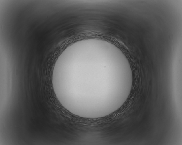 X0000086020965200703230929