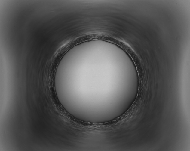 X0000086020967200703230929