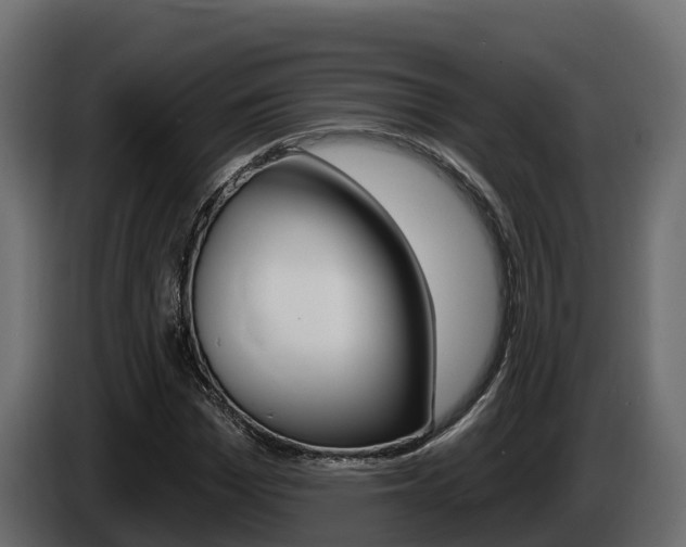 X0000086020969200703230929