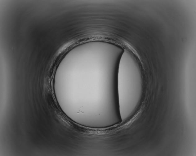 X0000086020970200703230929