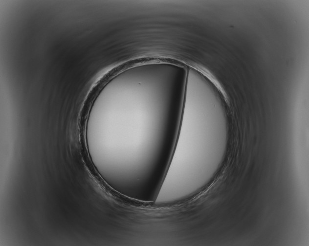 X0000086020972200703230929