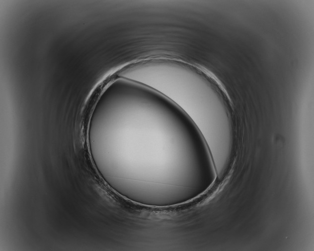 X0000086020973200703230929