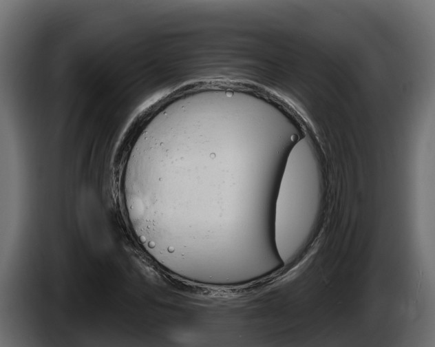 X0000086020974200703230929